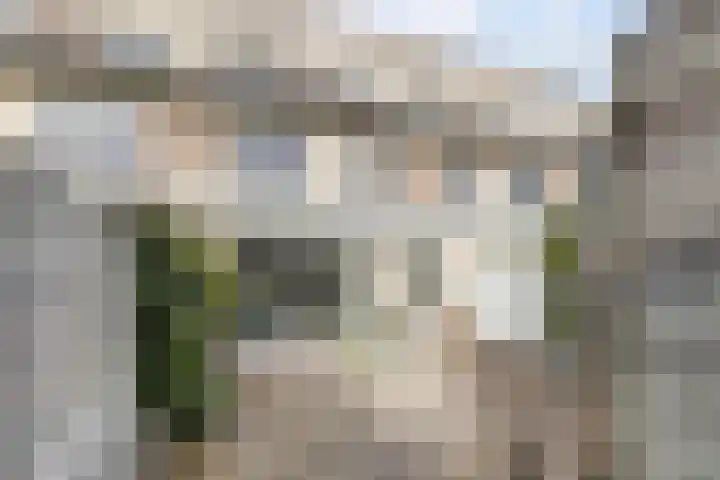 Zandhaver 20 Katwijk thumbnail 38