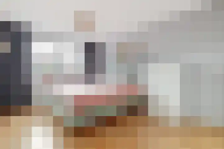 Zandhaver 20 Katwijk thumbnail 4
