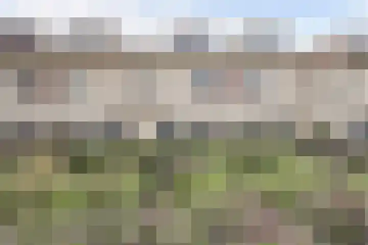 Zandhaver 20 Katwijk thumbnail 41