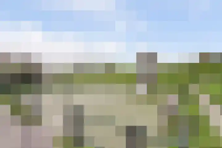 Zandhaver 20 Katwijk thumbnail 42