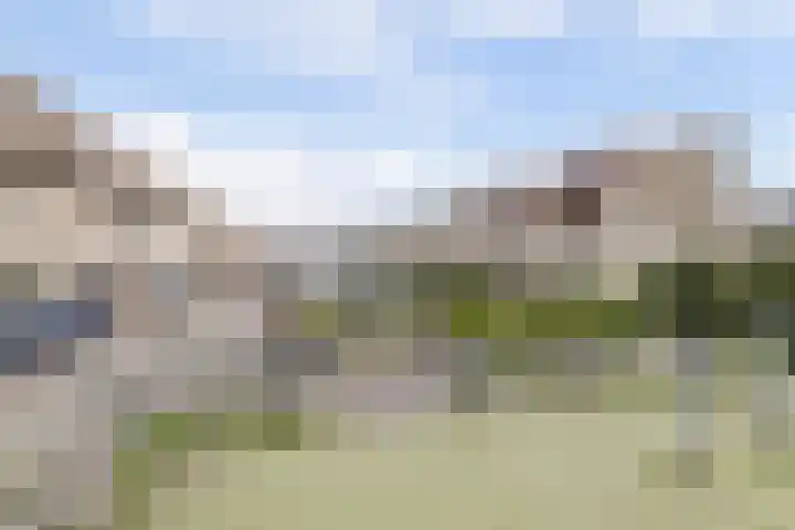 Zandhaver 20 Katwijk thumbnail 43