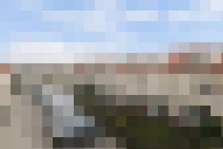 Zandhaver 20 Katwijk thumbnail 46