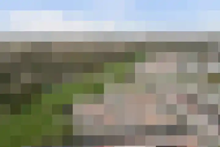 Zandhaver 20 Katwijk thumbnail 47