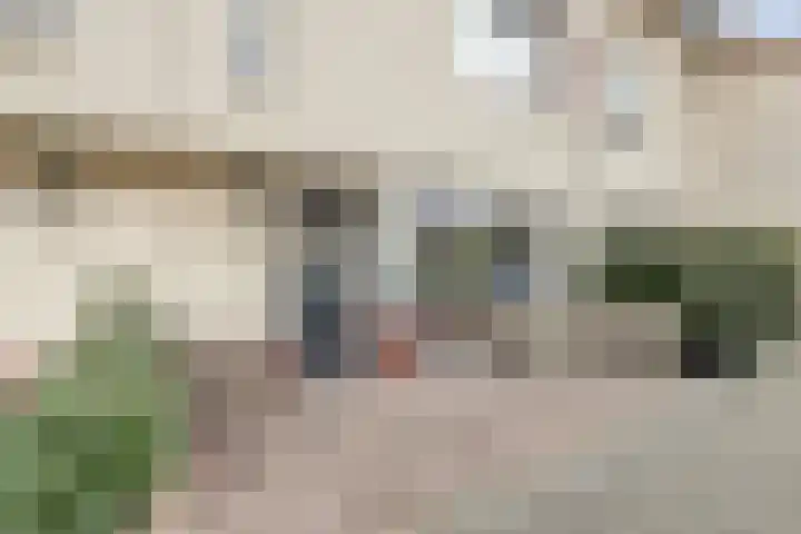 Zandhaver 20 Katwijk thumbnail 8