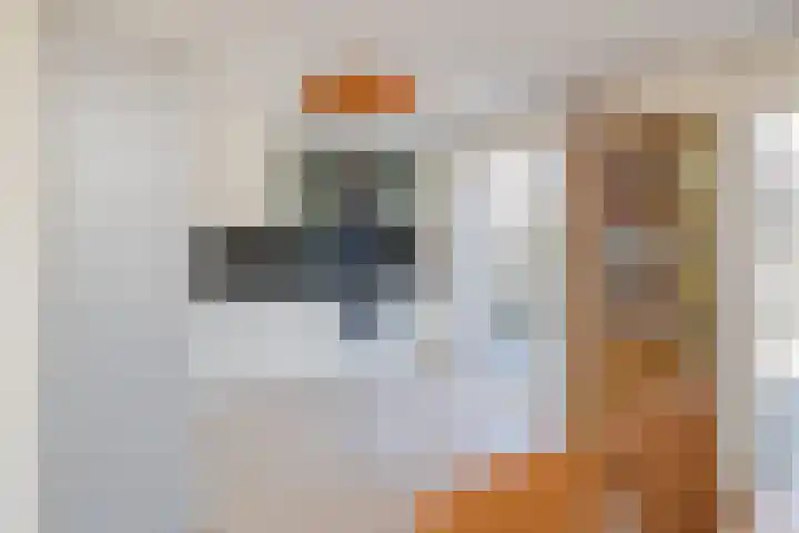 Zandhaver 21 IJmuiden thumbnail 12