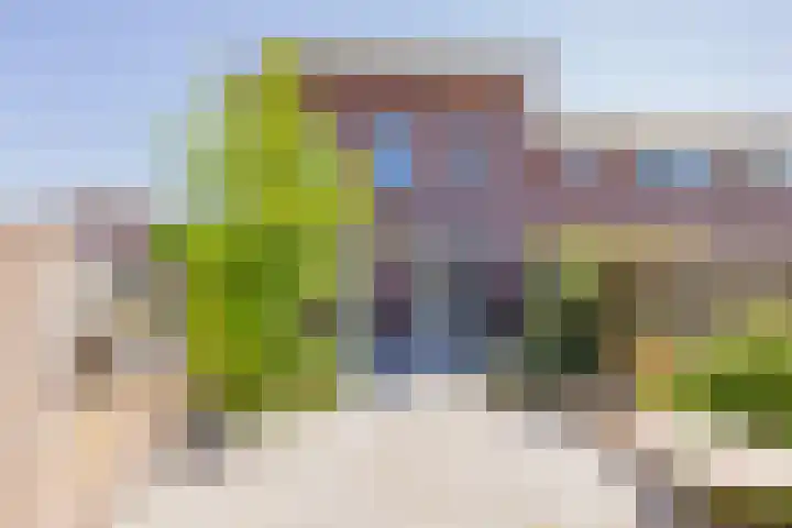 Zandhaver 21 IJmuiden thumbnail 14