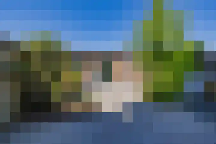 Zandhaver 21 IJmuiden thumbnail 15