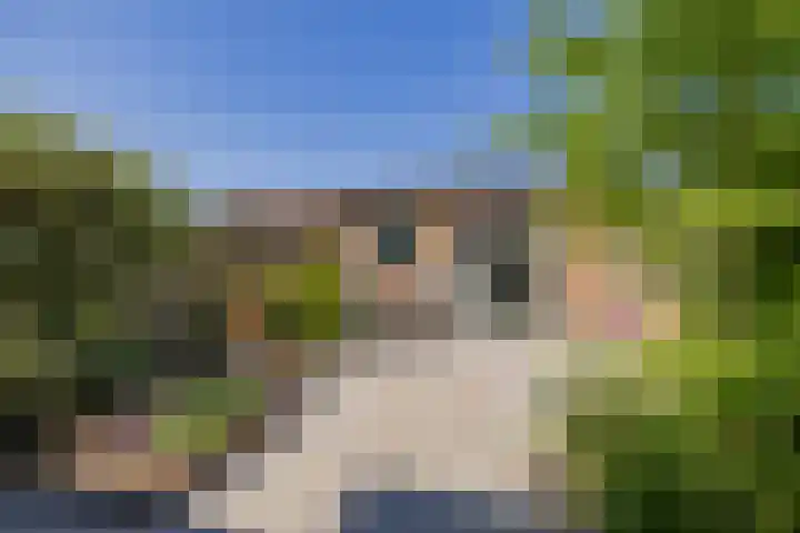 Zandhaver 21 IJmuiden thumbnail 16