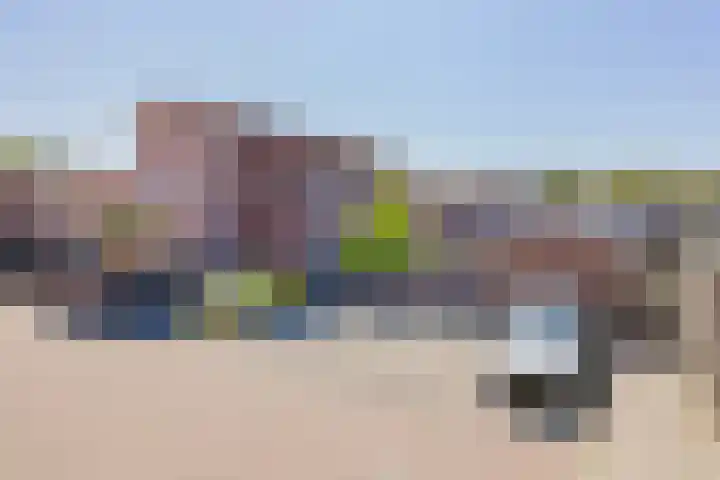 Zandhaver 21 IJmuiden thumbnail 42