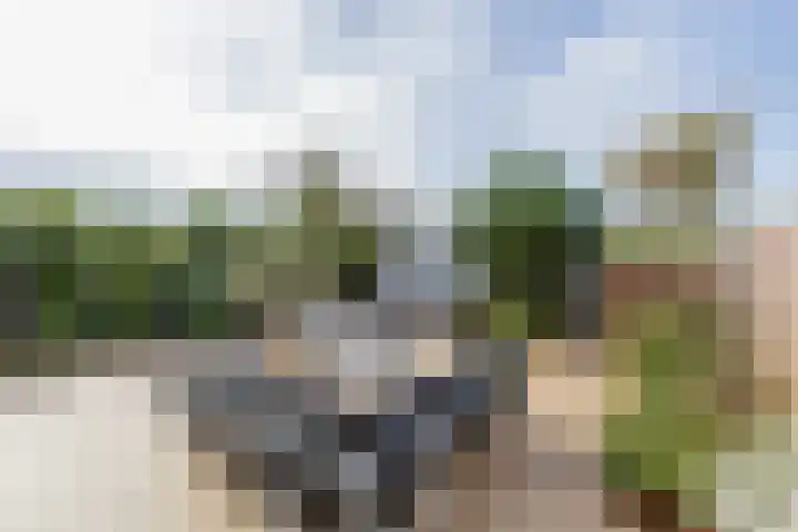 Zandhaver 25 Katwijk thumbnail 16
