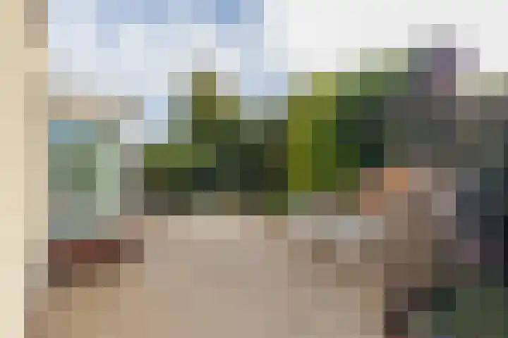 Zandhaver 25 Katwijk thumbnail 21