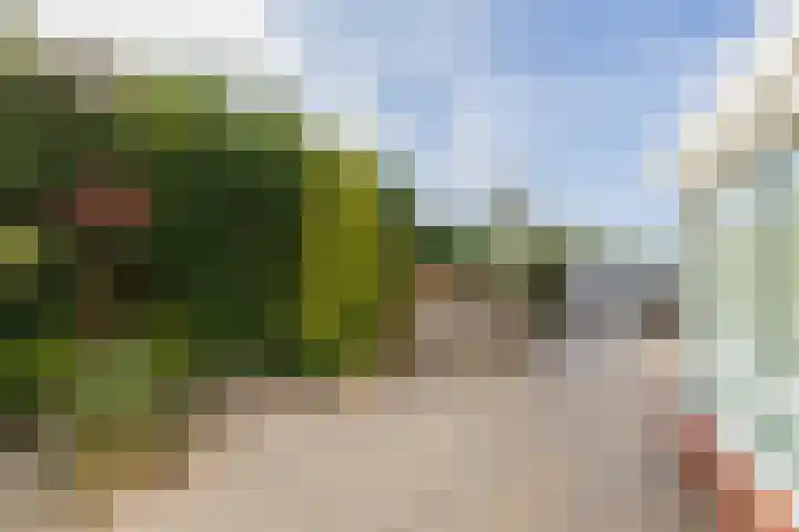 Zandhaver 25 Katwijk thumbnail 22
