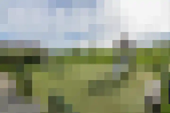 Zandhaver 25 Katwijk thumbnail 39