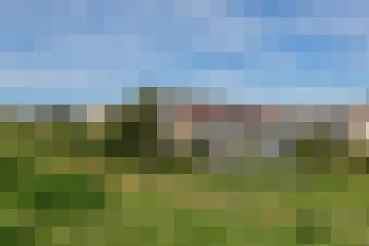 Zandhaver 25 Katwijk thumbnail 40