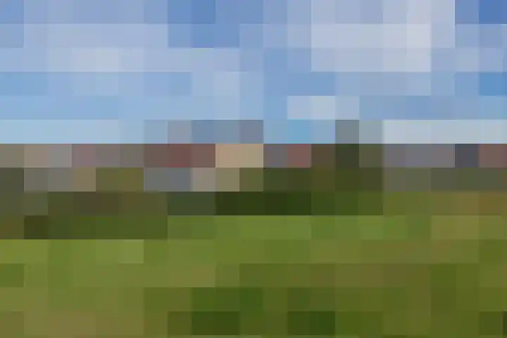 Zandhaver 25 Katwijk thumbnail 41