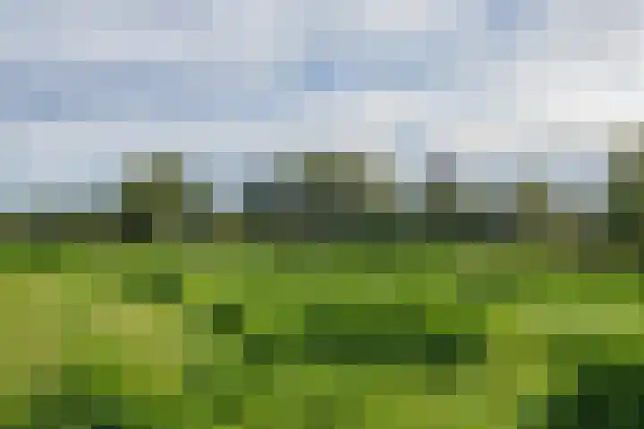 Zandhaver 25 Katwijk thumbnail 42