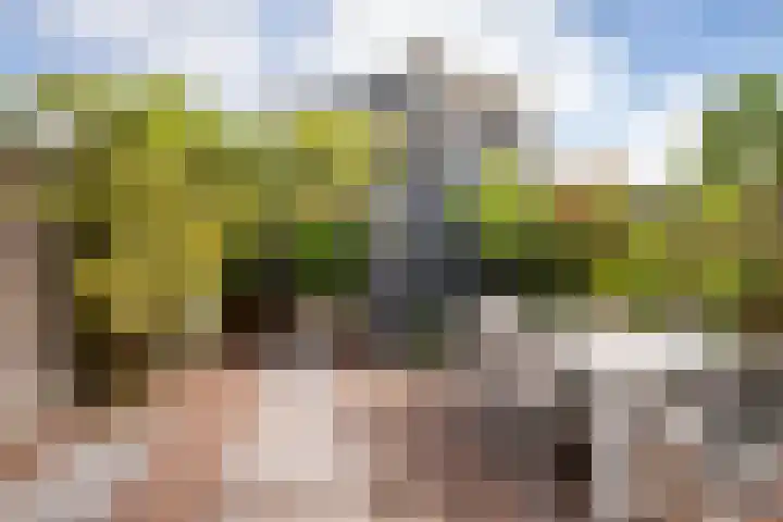 Zandhaver 39 Naaldwijk thumbnail 13