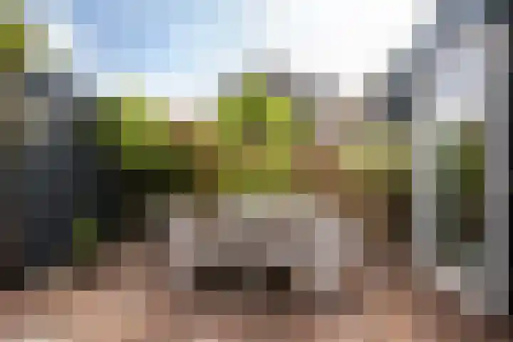 Zandhaver 39 Naaldwijk thumbnail 14