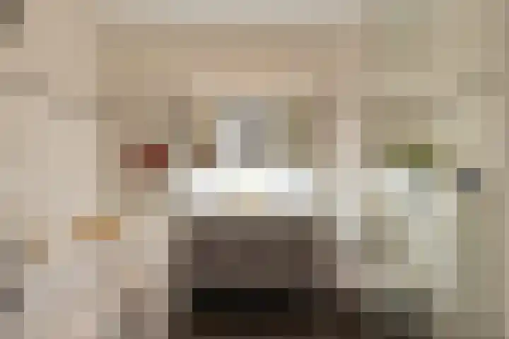 Zandhaver 39 Naaldwijk thumbnail 23