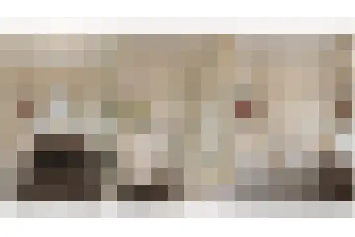 Zandhaver 39 Naaldwijk thumbnail 24