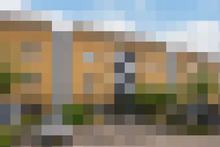Zandhaver 39 Naaldwijk thumbnail 38