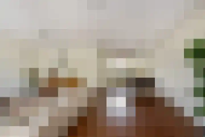 Zandhaver 39 Naaldwijk thumbnail 4