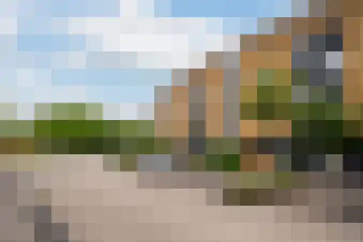 Zandhaver 39 Naaldwijk thumbnail 41