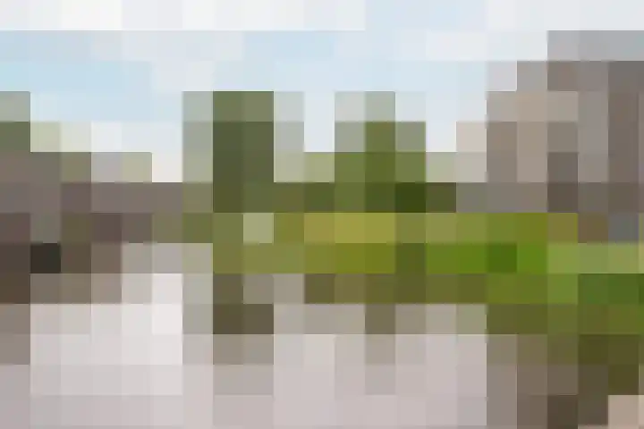 Zandhaver 39 Naaldwijk thumbnail 42