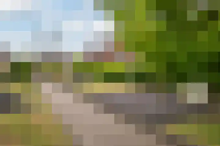 Zandhaver 39 Naaldwijk thumbnail 45