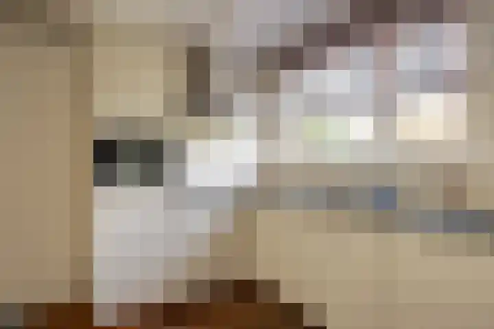 Zandhaver 39 Naaldwijk thumbnail 7