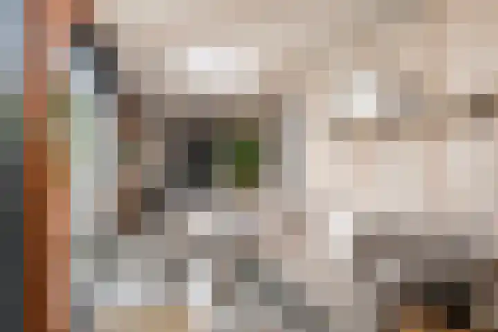 Zandhaver 45 Naaldwijk thumbnail 17