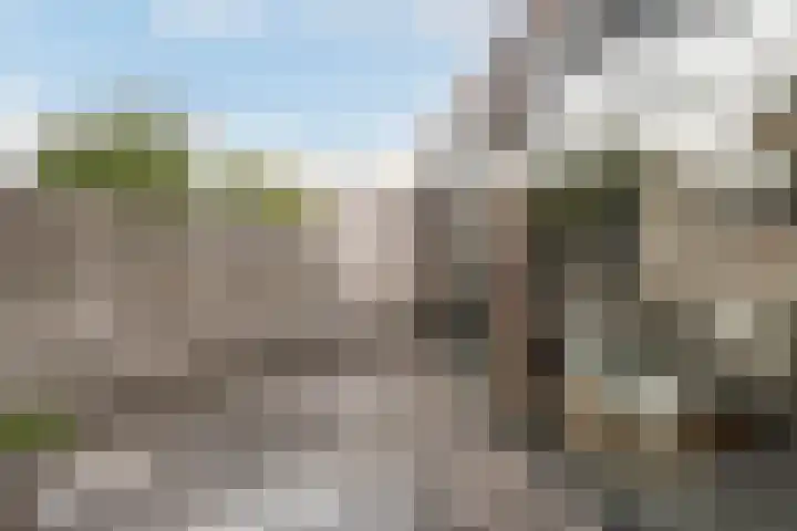 Zandhaver 45 Naaldwijk thumbnail 19