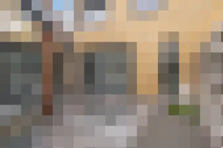 Zandhaver 45 Naaldwijk thumbnail 21