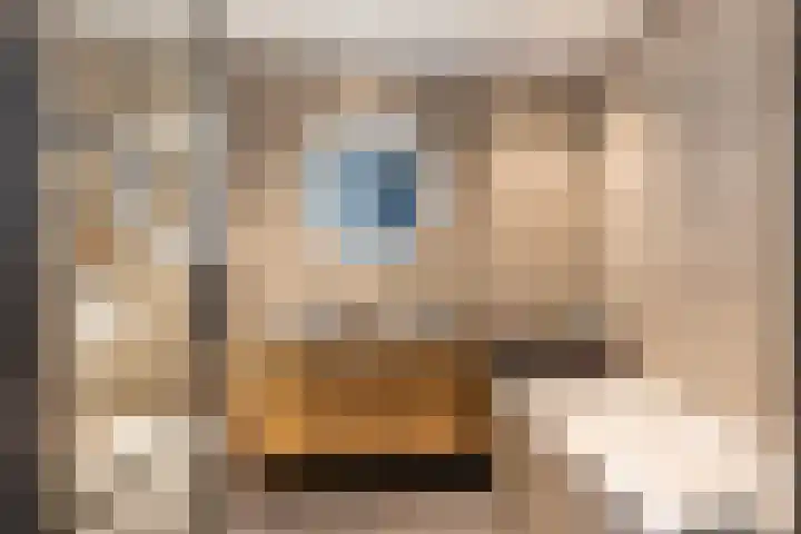 Zandhaver 45 Naaldwijk thumbnail 27