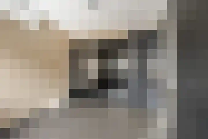 Zandhaver 45 Naaldwijk thumbnail 30