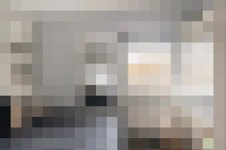 Zandhaver 45 Naaldwijk thumbnail 32
