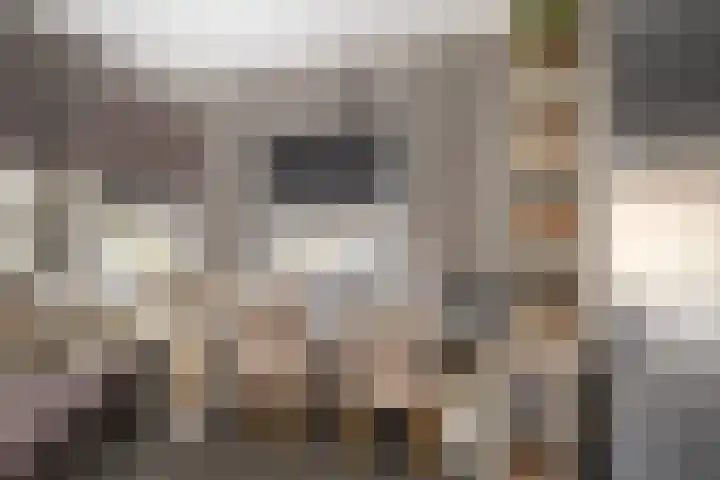 Zandhaver 45 Naaldwijk thumbnail 33