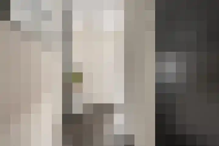 Zandhaver 45 Naaldwijk thumbnail 34