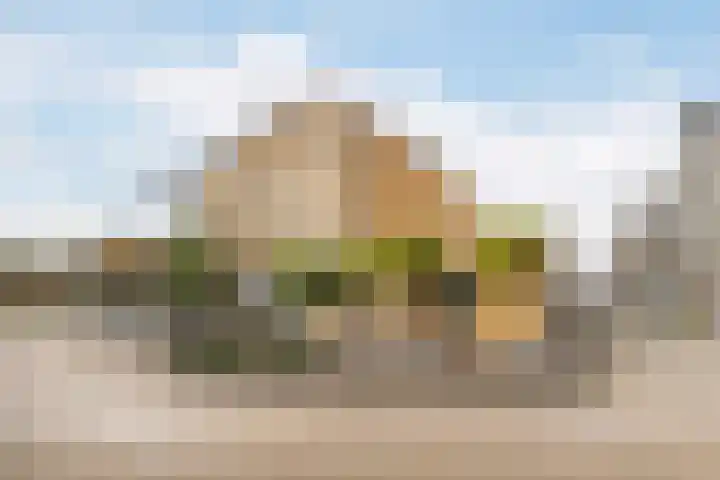 Zandhaver 45 Naaldwijk thumbnail 45