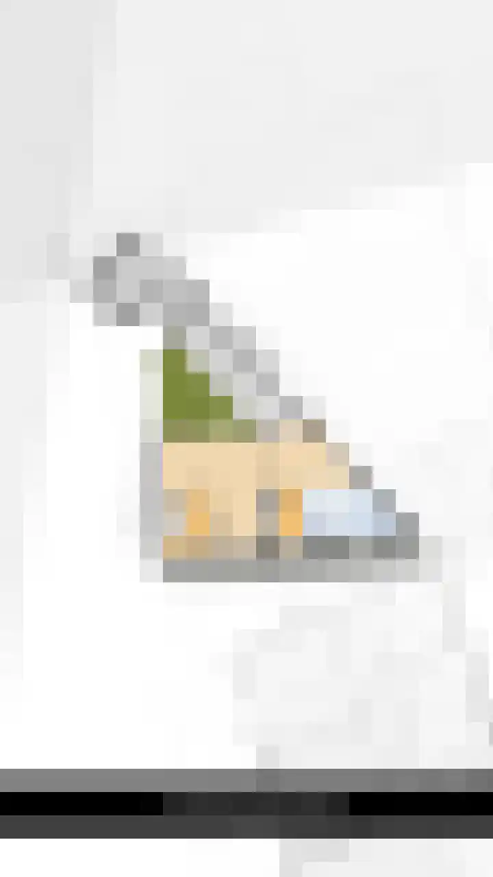 Zandhaver 45 Naaldwijk thumbnail 51