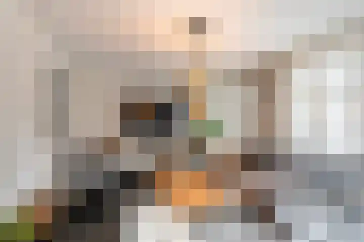 Zandhaver 45 Naaldwijk thumbnail 7