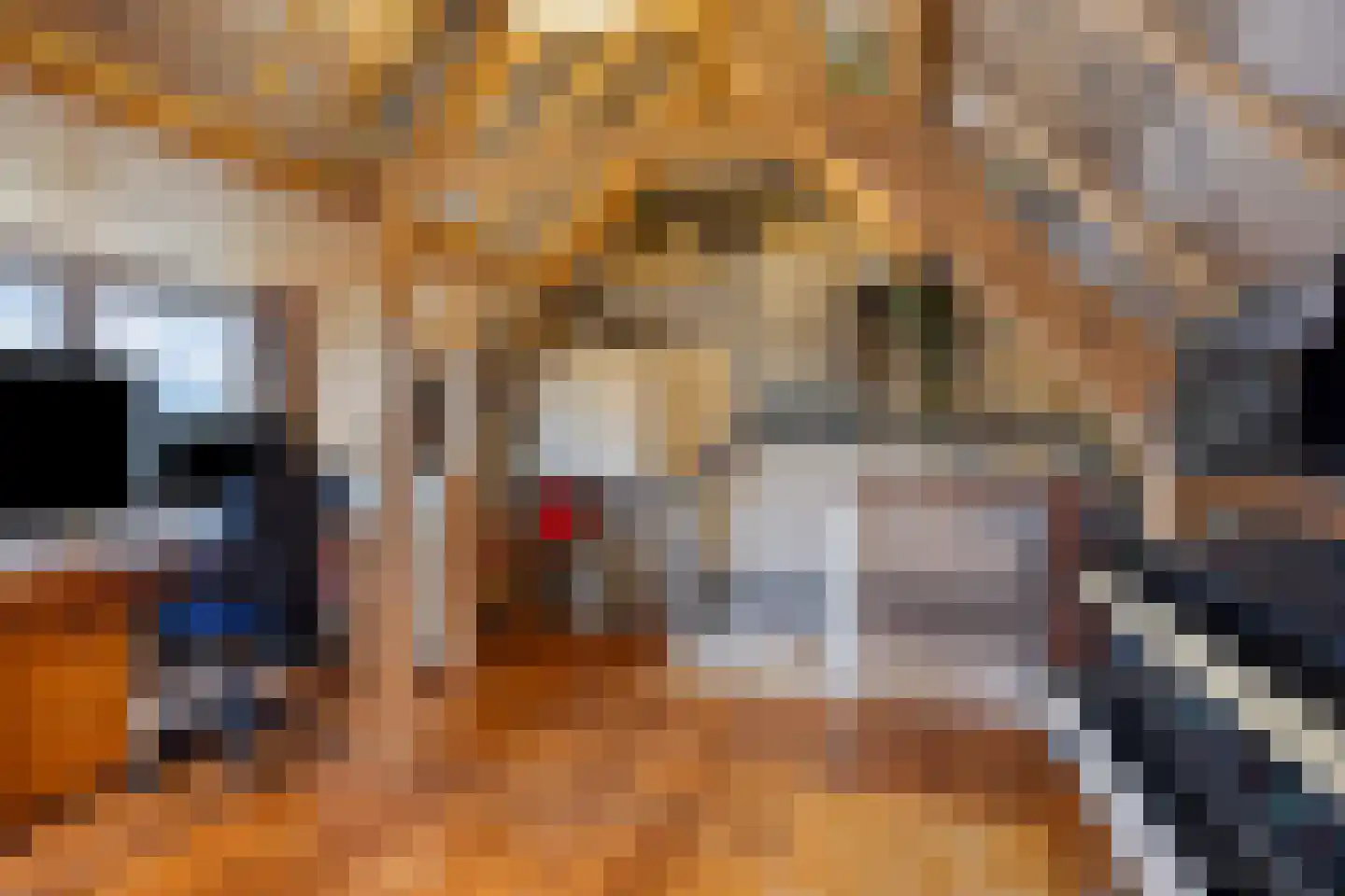 Zandhei 20 Veldhoven thumbnail 32