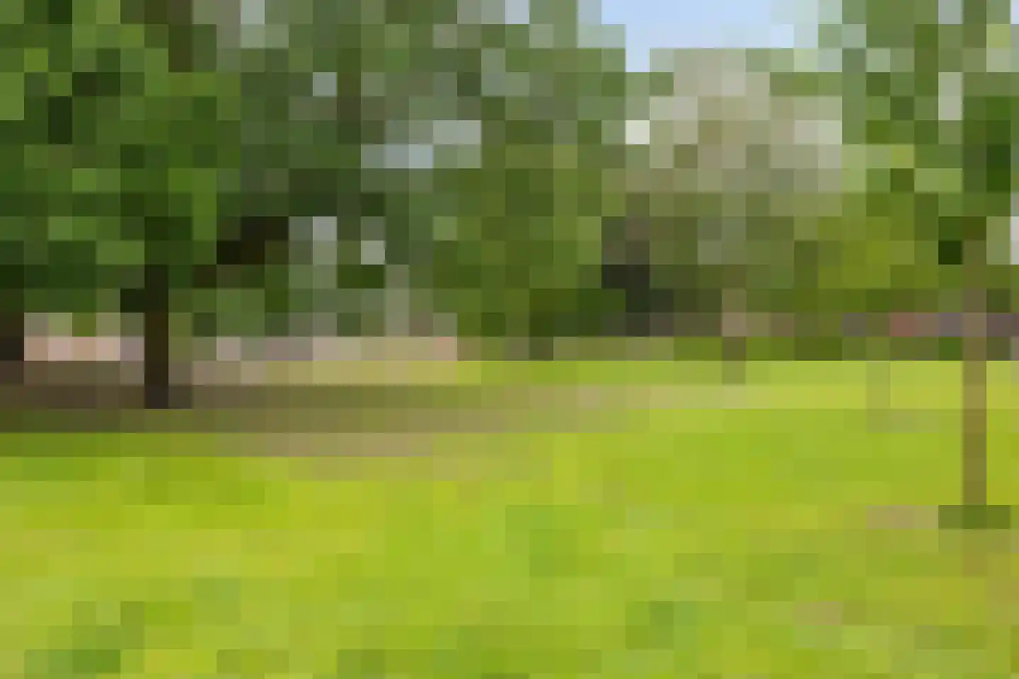 Zandhei 20 Veldhoven thumbnail 47