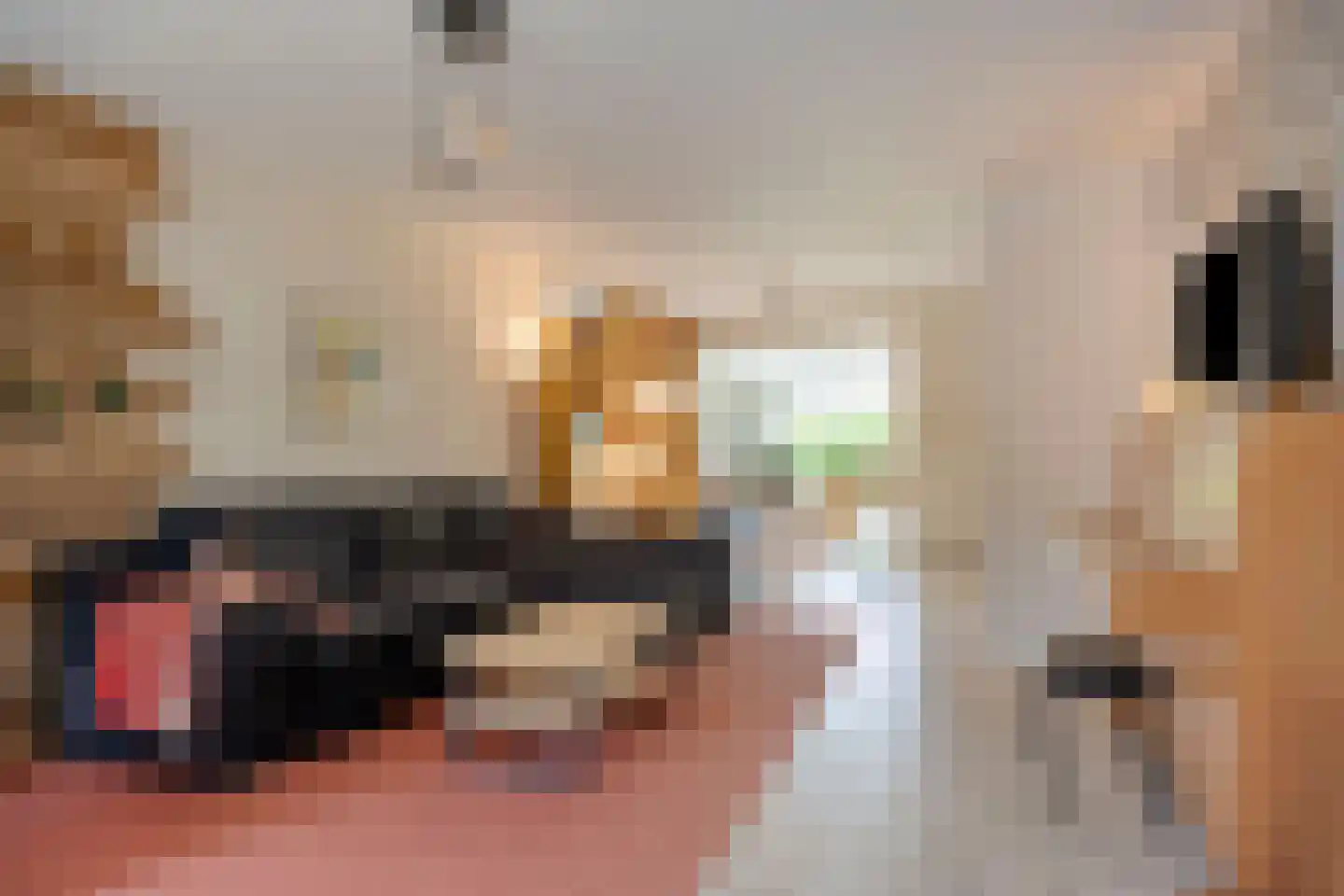 Zandhei 20 Veldhoven thumbnail 6