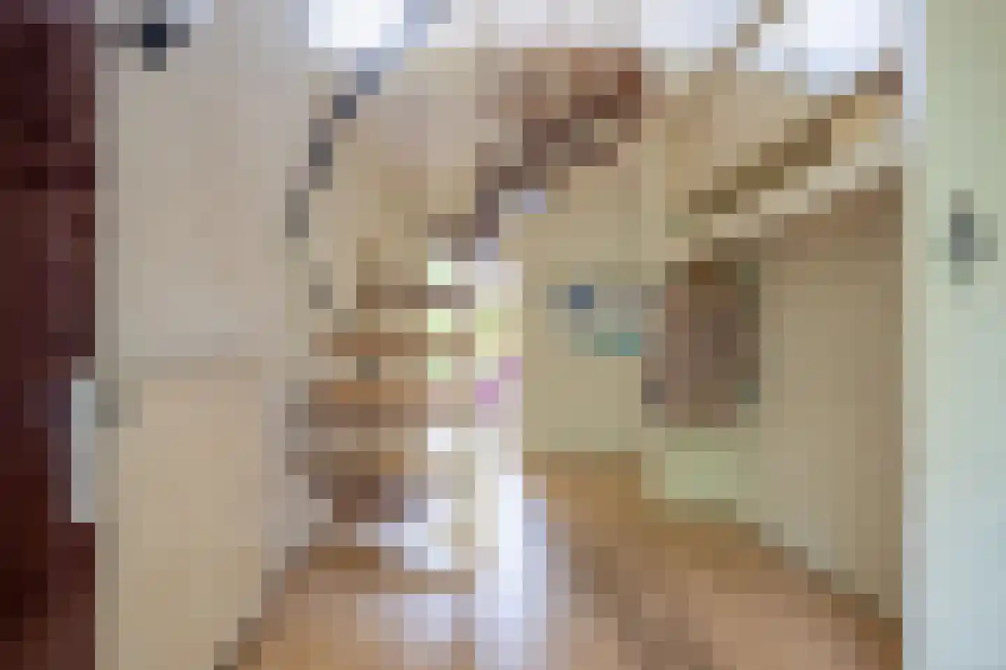 Zandherenlaan 2 Rolde thumbnail 10
