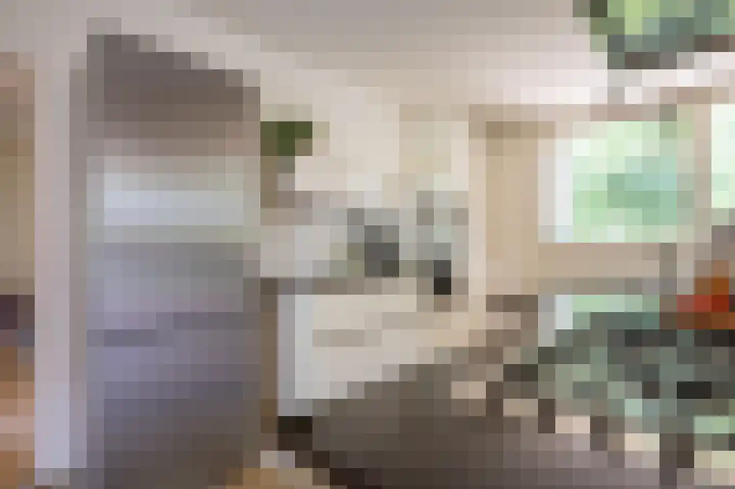 Zandherenlaan 2 Rolde thumbnail 17