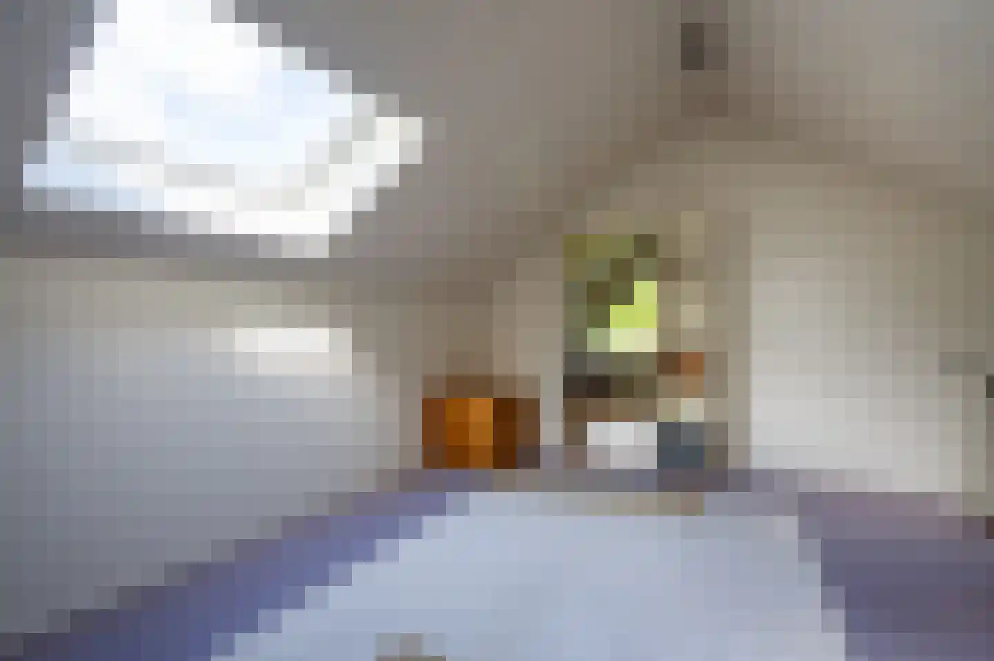 Zandherenlaan 2 Rolde thumbnail 34