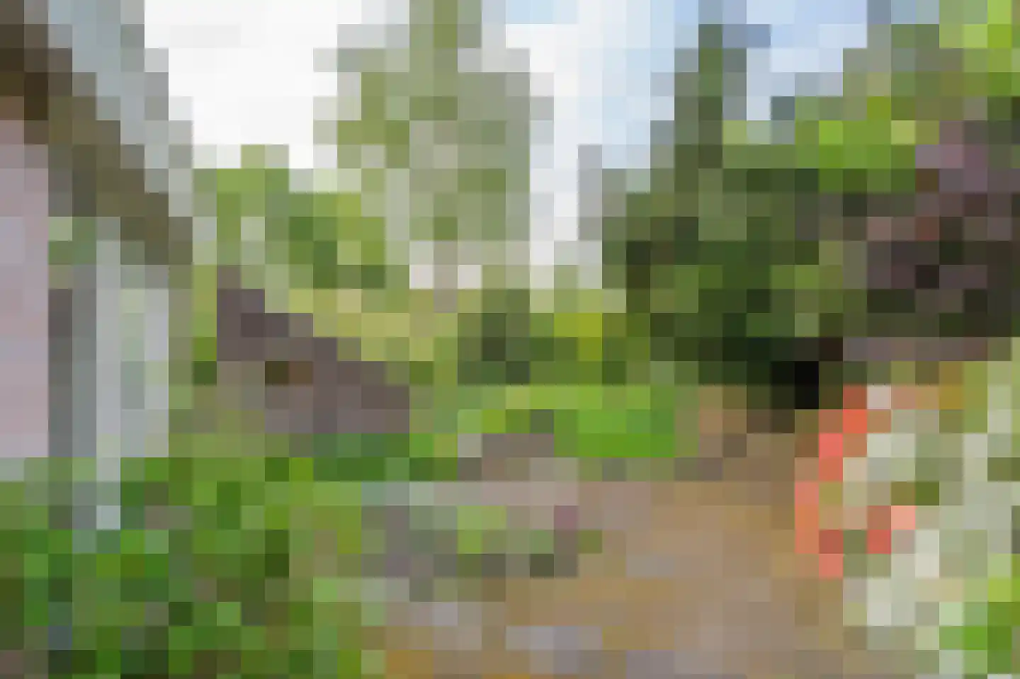 Zandherenlaan 2 Rolde thumbnail 43