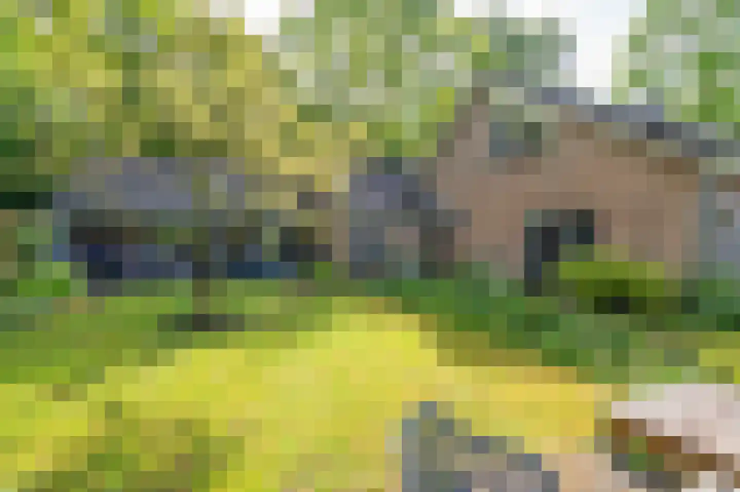 Zandherenlaan 2 Rolde thumbnail 48