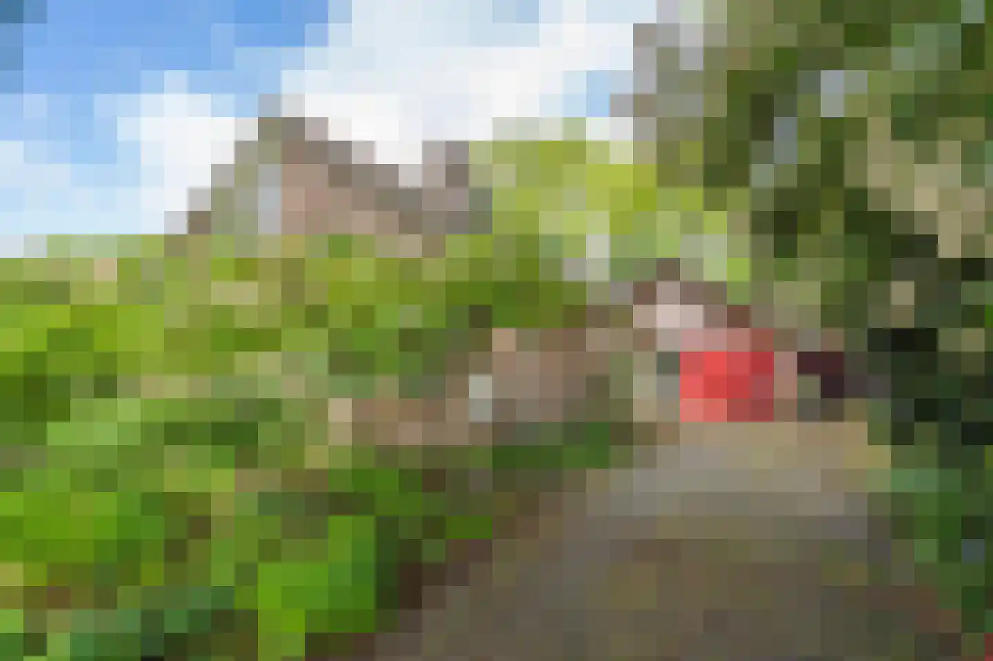 Zandherenlaan 2 Rolde thumbnail 5